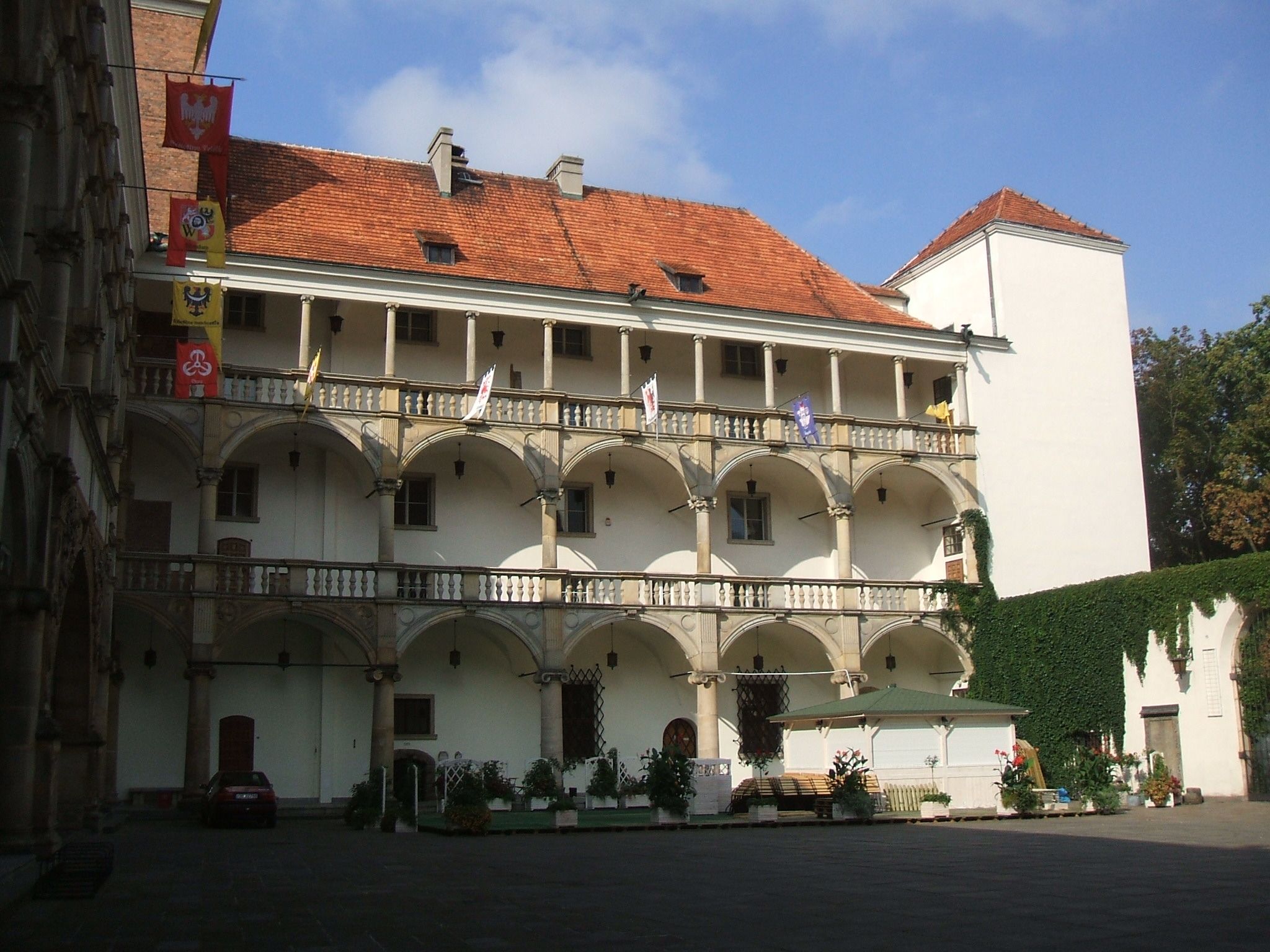 Brzeg